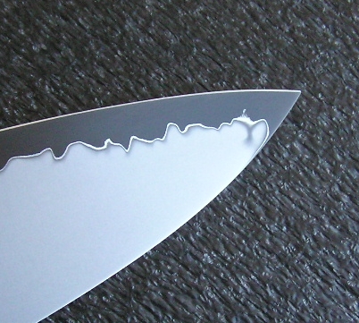P1010008.JPG