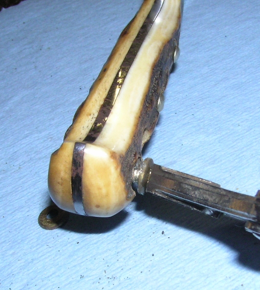 P1010010.JPG