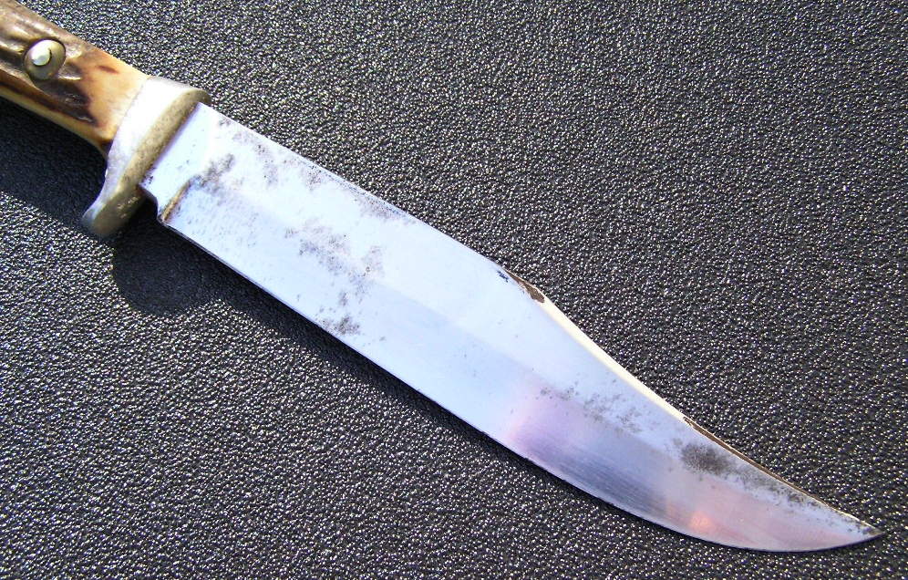 P1010028.JPG