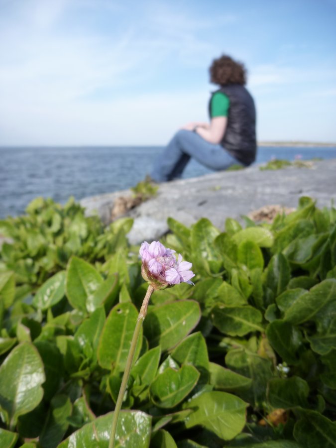 P1050437.JPG