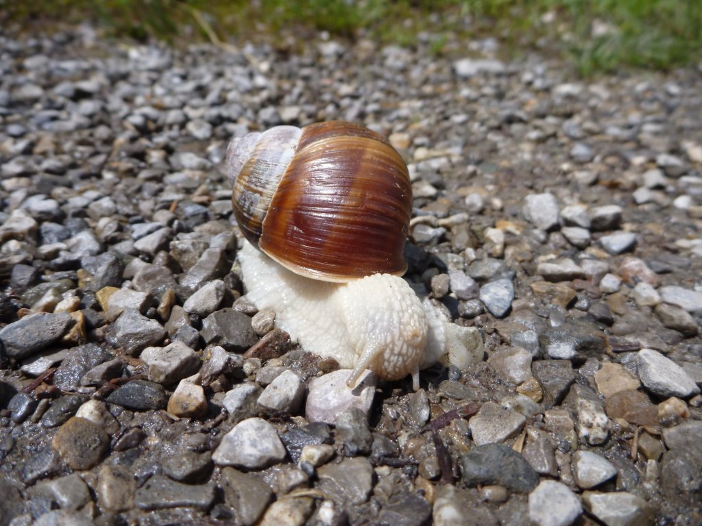P1050894.JPG