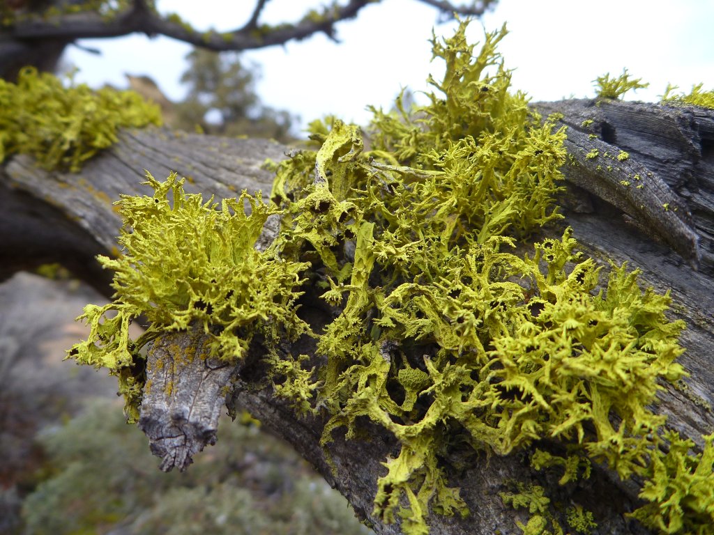 P1100244.JPG