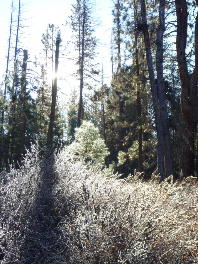 P1100336.JPG