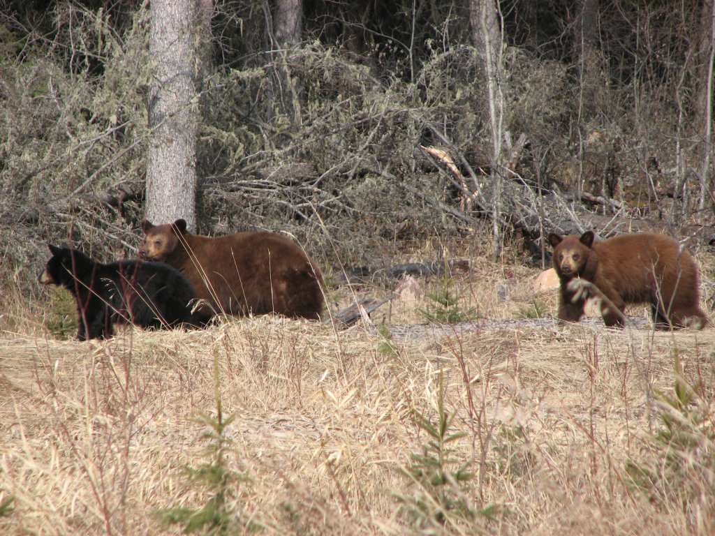 Picture 255.jpg