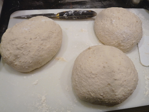 Poolish2.jpg