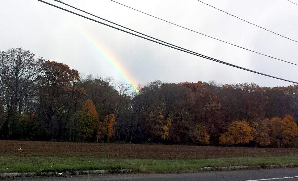 Rainbow NJ.jpg