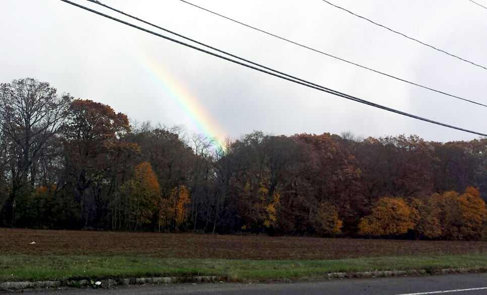 Rainbow NJ.jpg