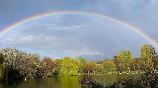 rainbows.jpg