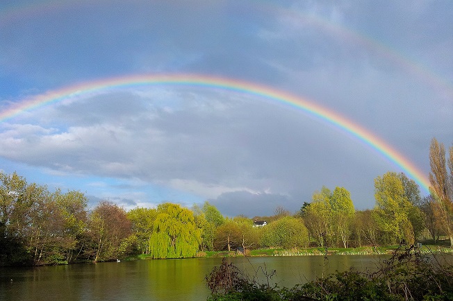 rainbows2.jpg