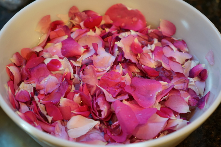 RoseJam1.jpg