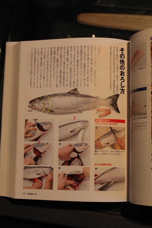 salmon.jpg