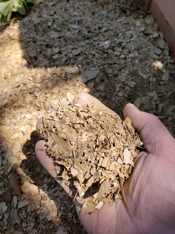 ShreadedLeaves1.jpg