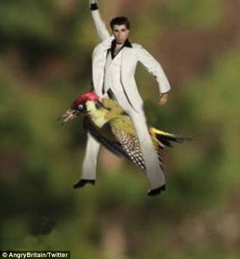 stayin alive.jpg