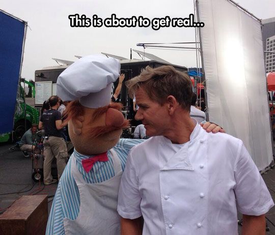 swedishchefgordonramsay.jpg