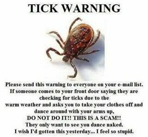 Tick.jpg