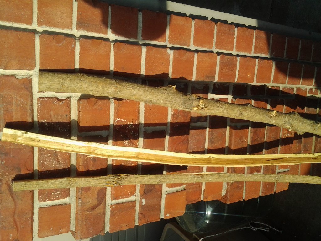 tmp_20140228_0832582024957042.jpg