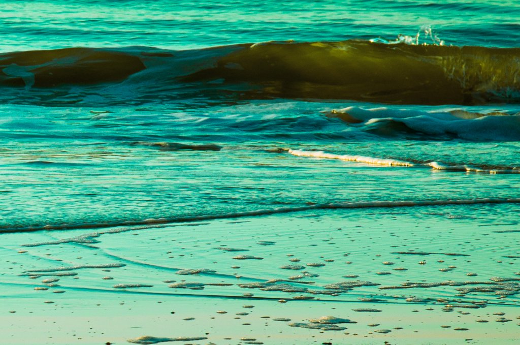 wave.jpg