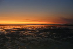 DSCF0378.JPG