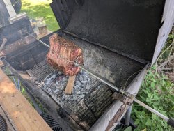 PXL_20250705_170559679.MP.jpg