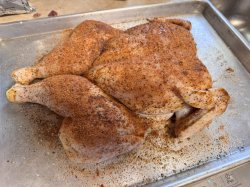 IMG_6504.jpeg