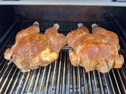IMG_6506.jpeg