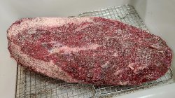 20260903_092843.jpg